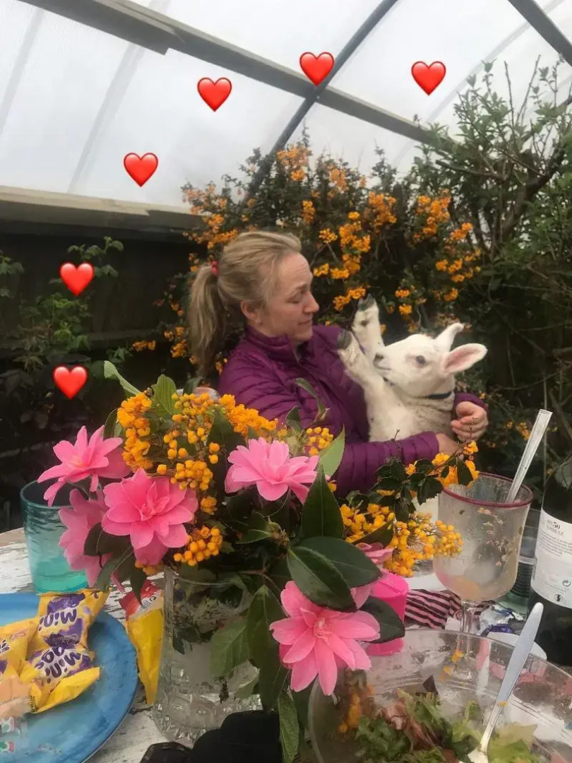 Herrislea House Hotel