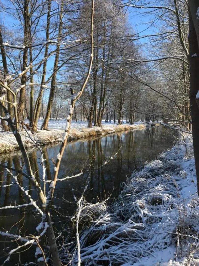Ferienwohnungen direkt am Wasser