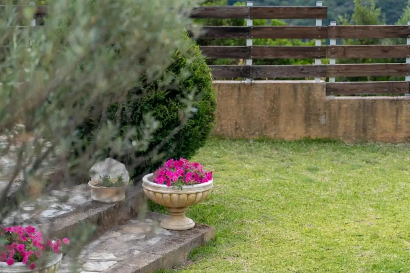 The House Olympia in Olympia