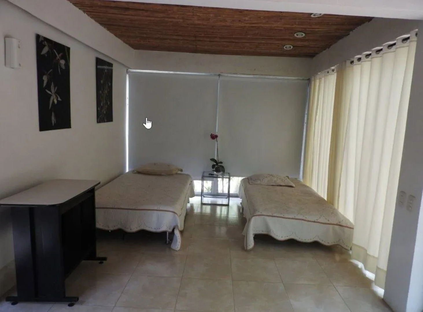 Orquideas del Tolima