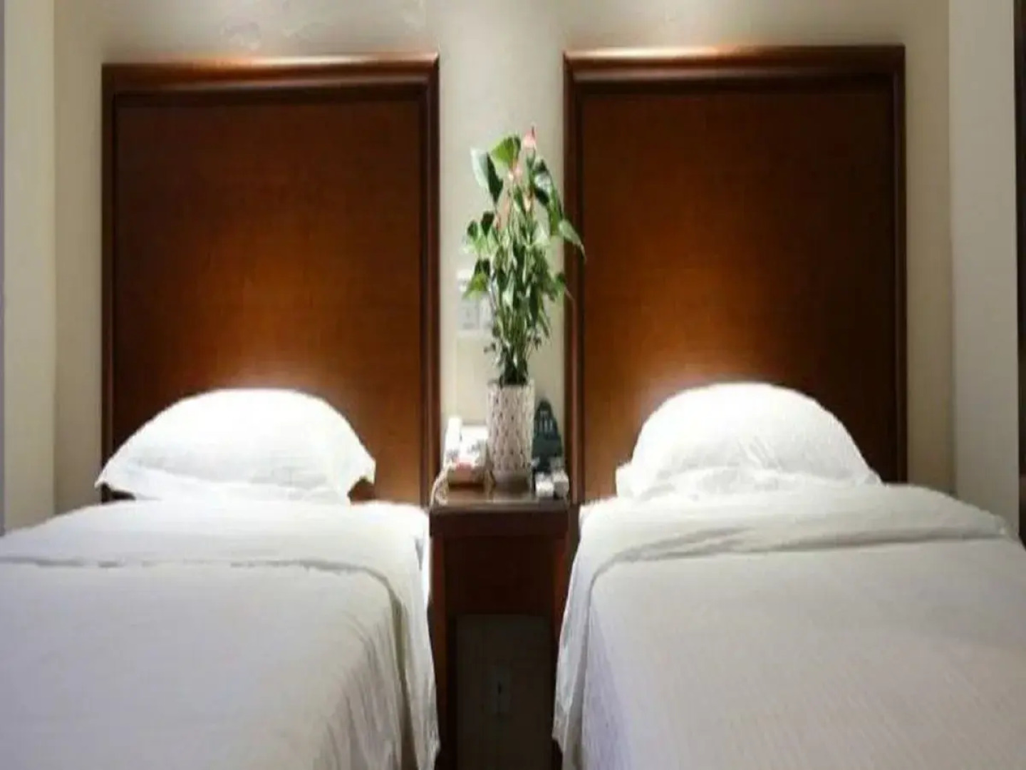 GreenTree Inn Anhui Bozhou West Guangming Road Tangwang Avenue Shall Hotel