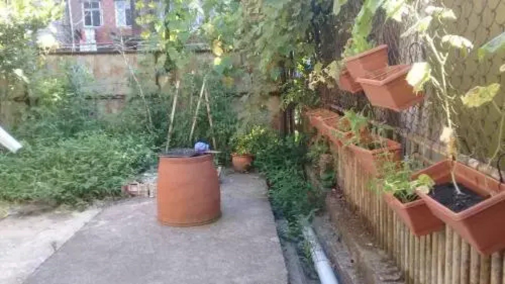 "Felix" hotel in the city of Poti, Near the sea