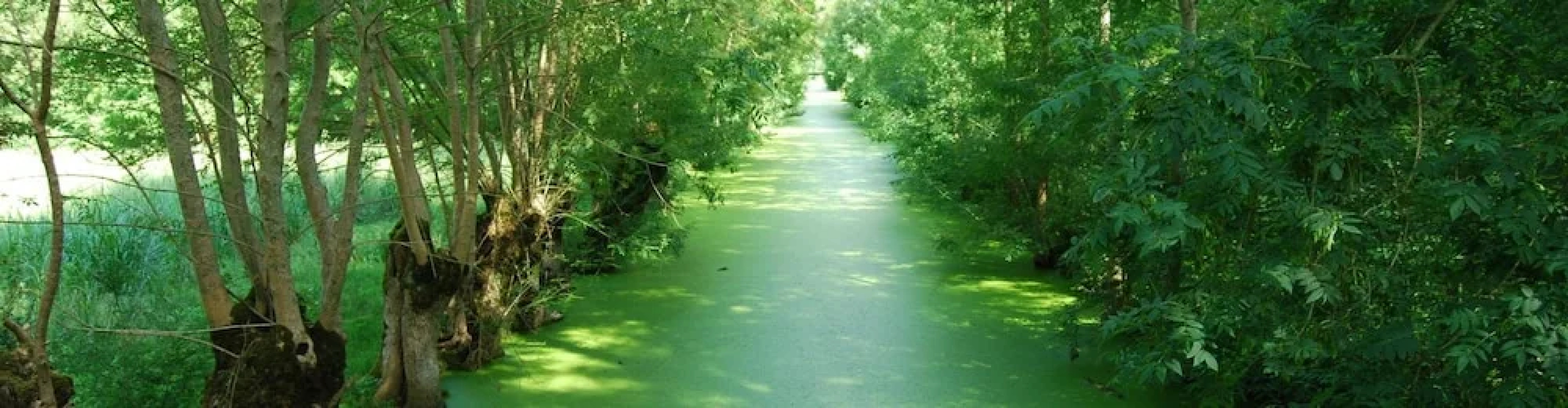 Camping l'ilot Du Chail