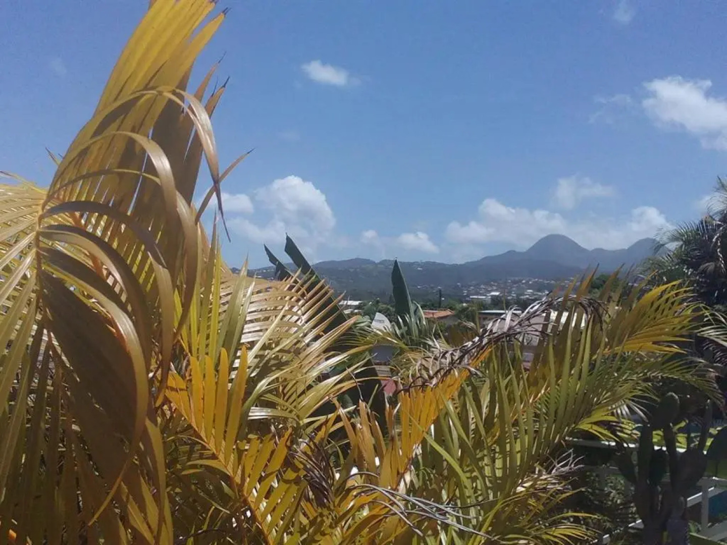 Villa Eden Rock, Adults Only