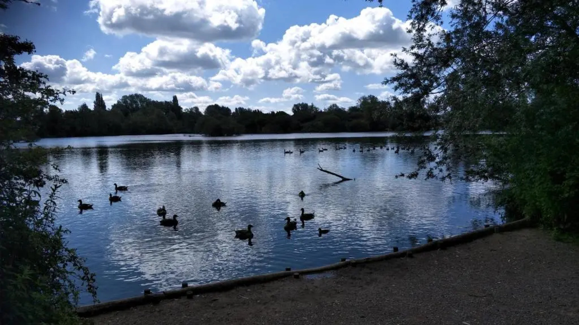 Mallard Cottage Guest House