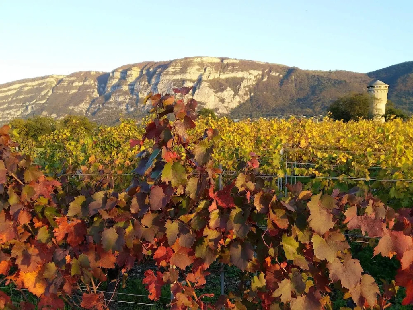 Apartment With 2 Bedrooms in Collonges-sous-salève, With Wonderful Mountain View, Shared Pool, Enclosed Garden - 5 km From the Slopes