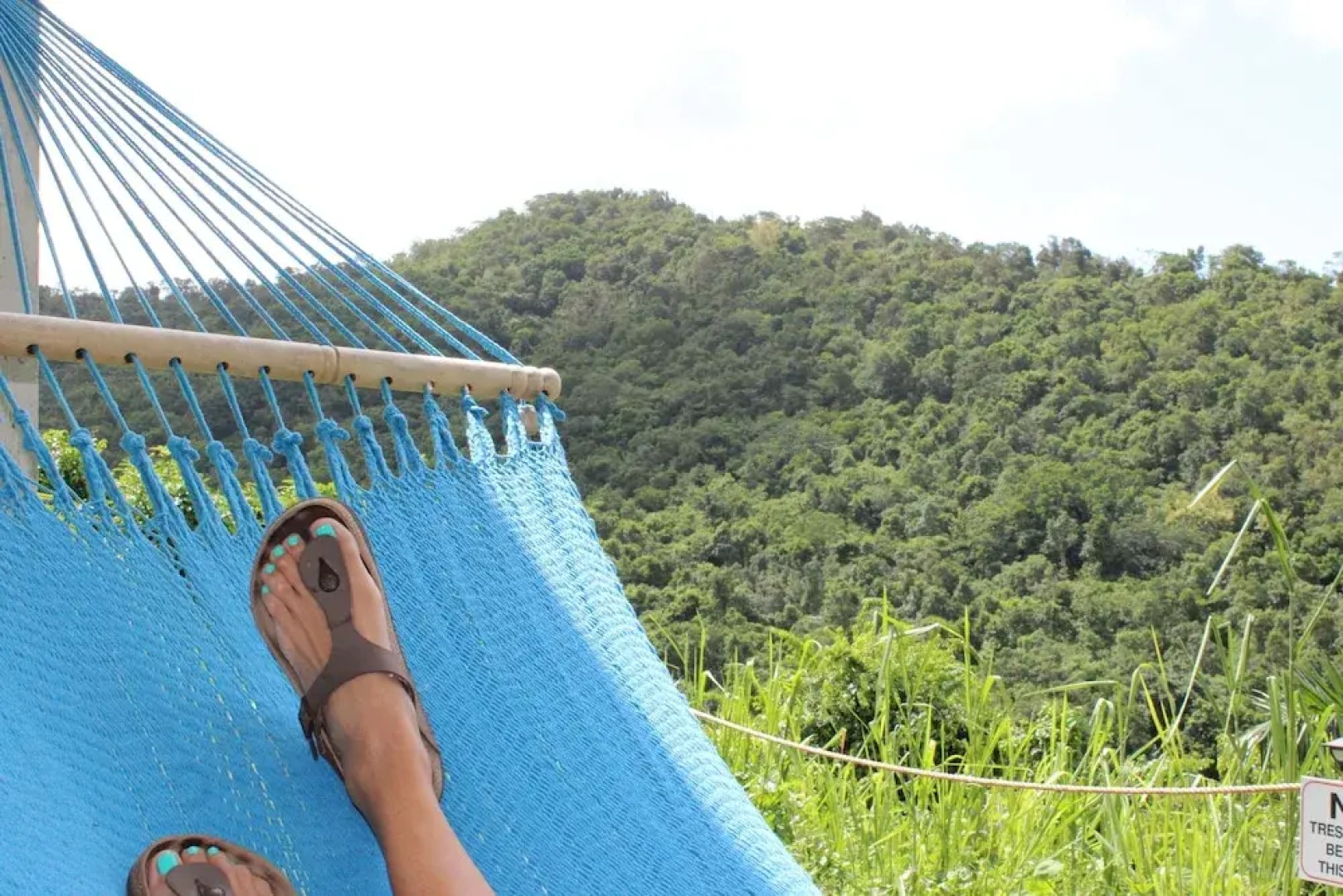 The Serene House Bed & Breakfast