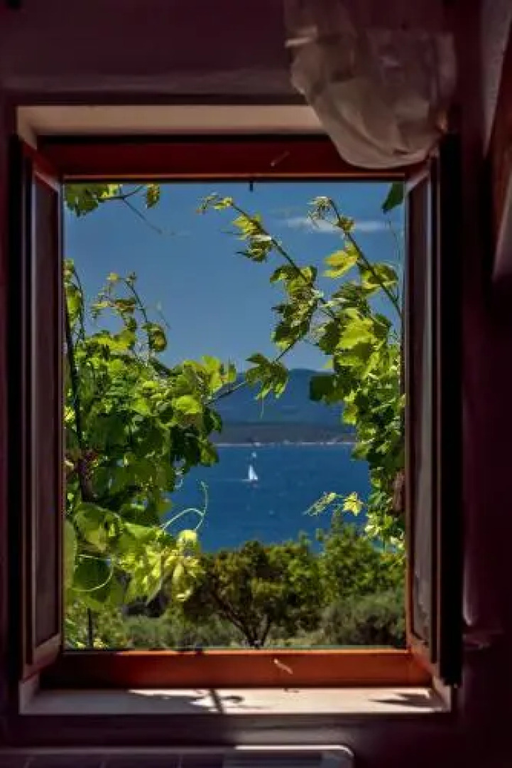 Holiday Home Vineyard House