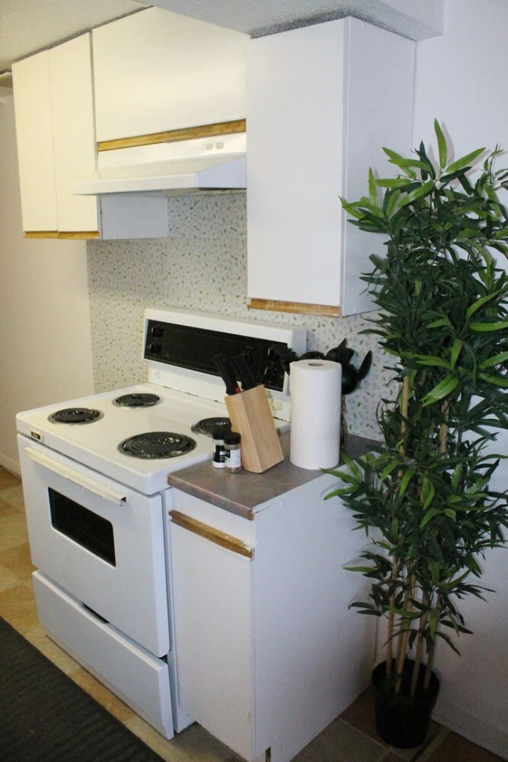 Adib Apartments - 150 Young St, Unit 4 (Basement)