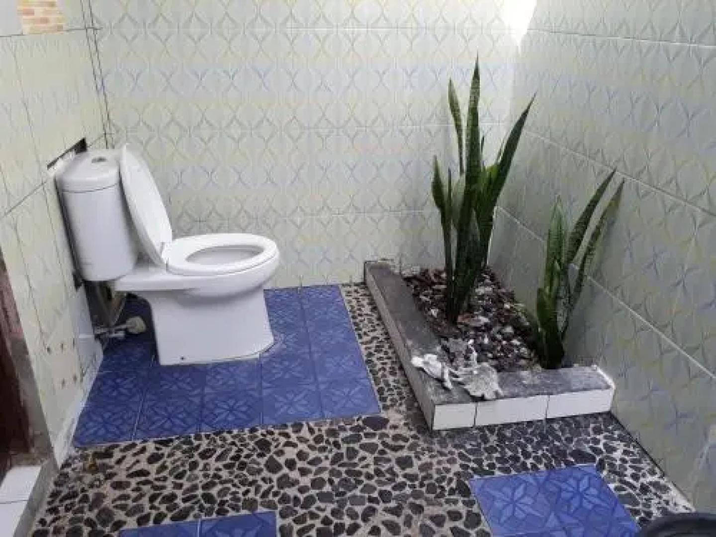 Ozi Matahari Bungalow