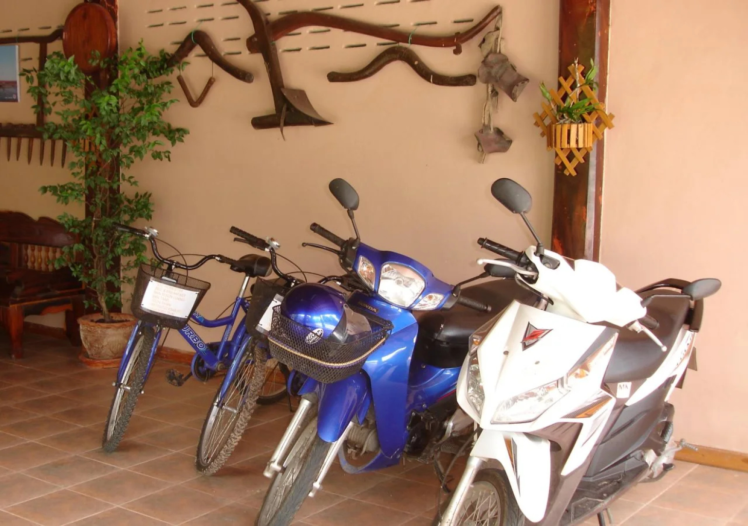 Home Stay Stc Bed And Breakfast