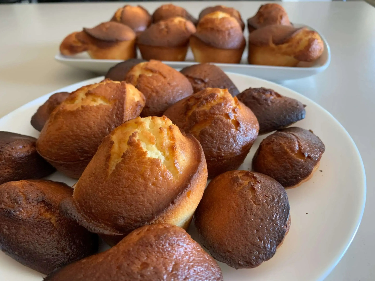 Hôtel des Etats Unis