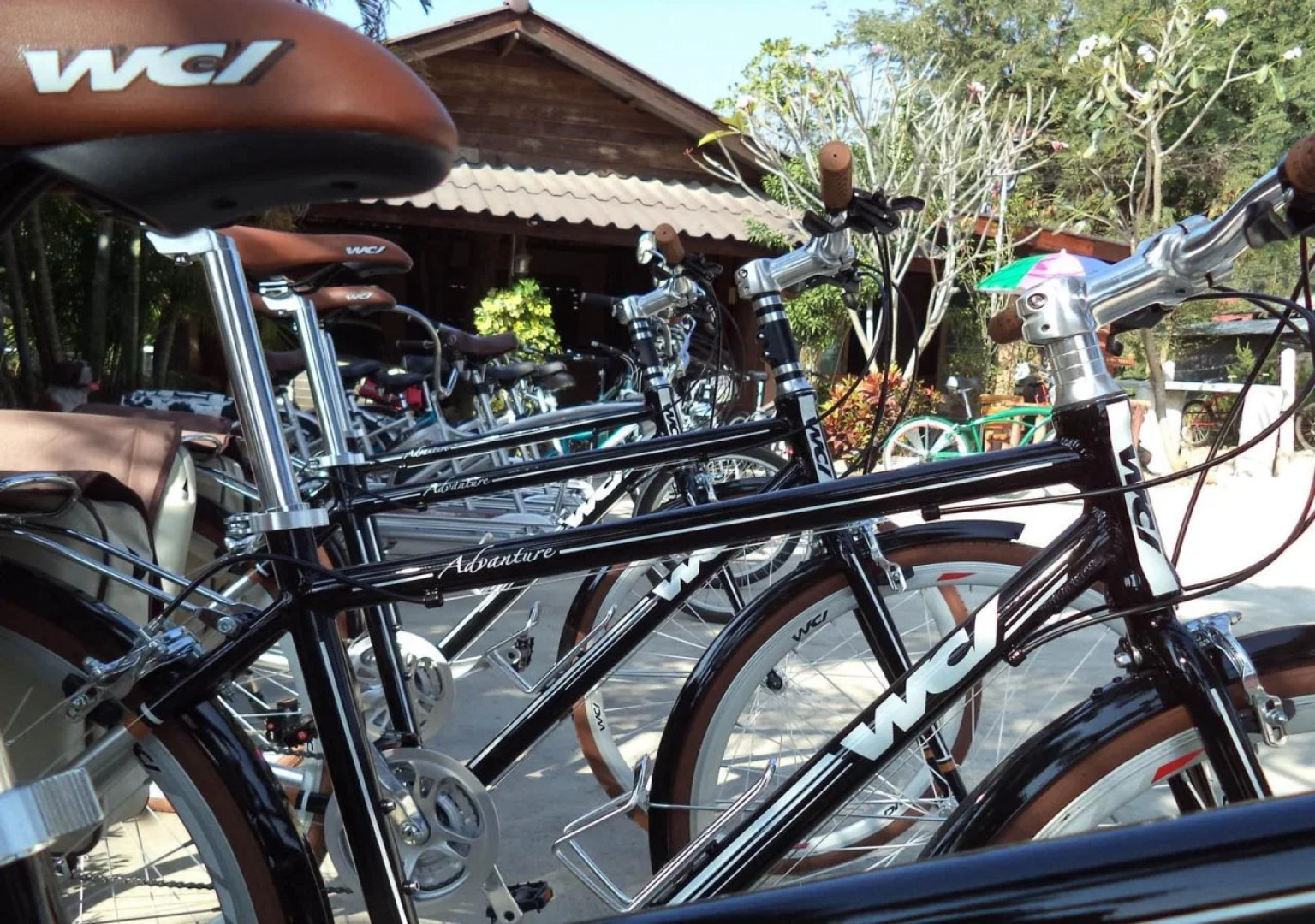 Swiss Ticino Guesthouse & Restaurant