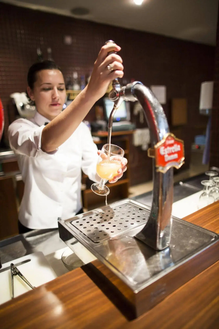 Hotel Fleming Playa Poniente