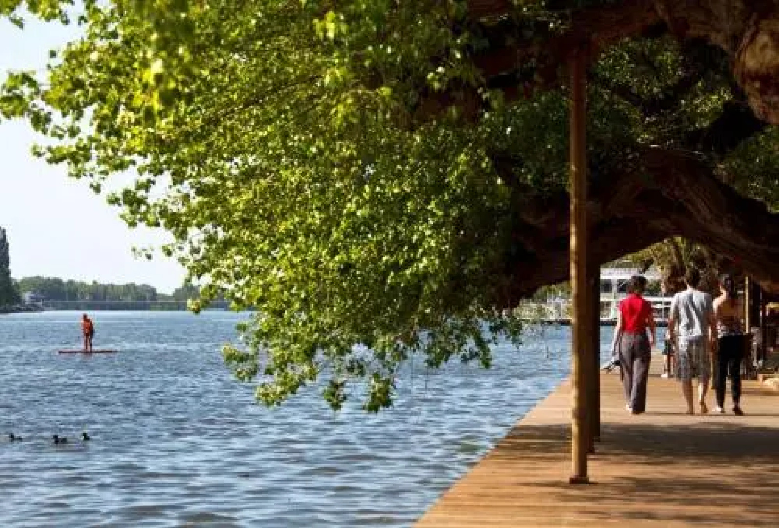 Studio Confort Centre Parking Gratuit