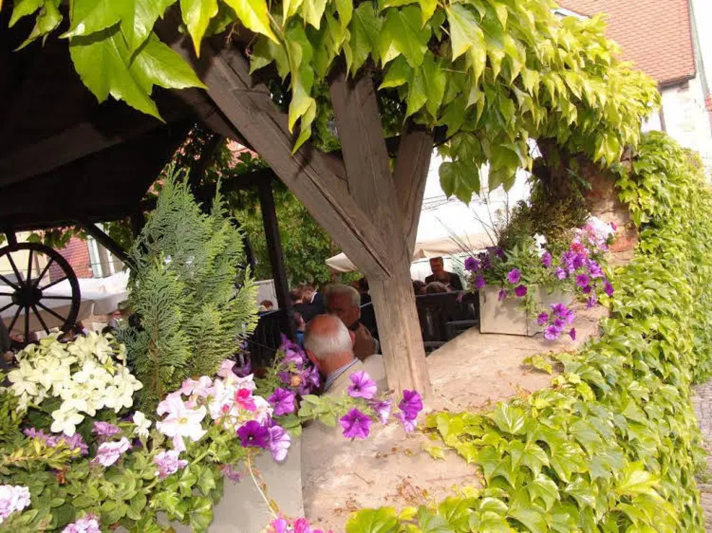 Gasthof & Weingut zum Stern