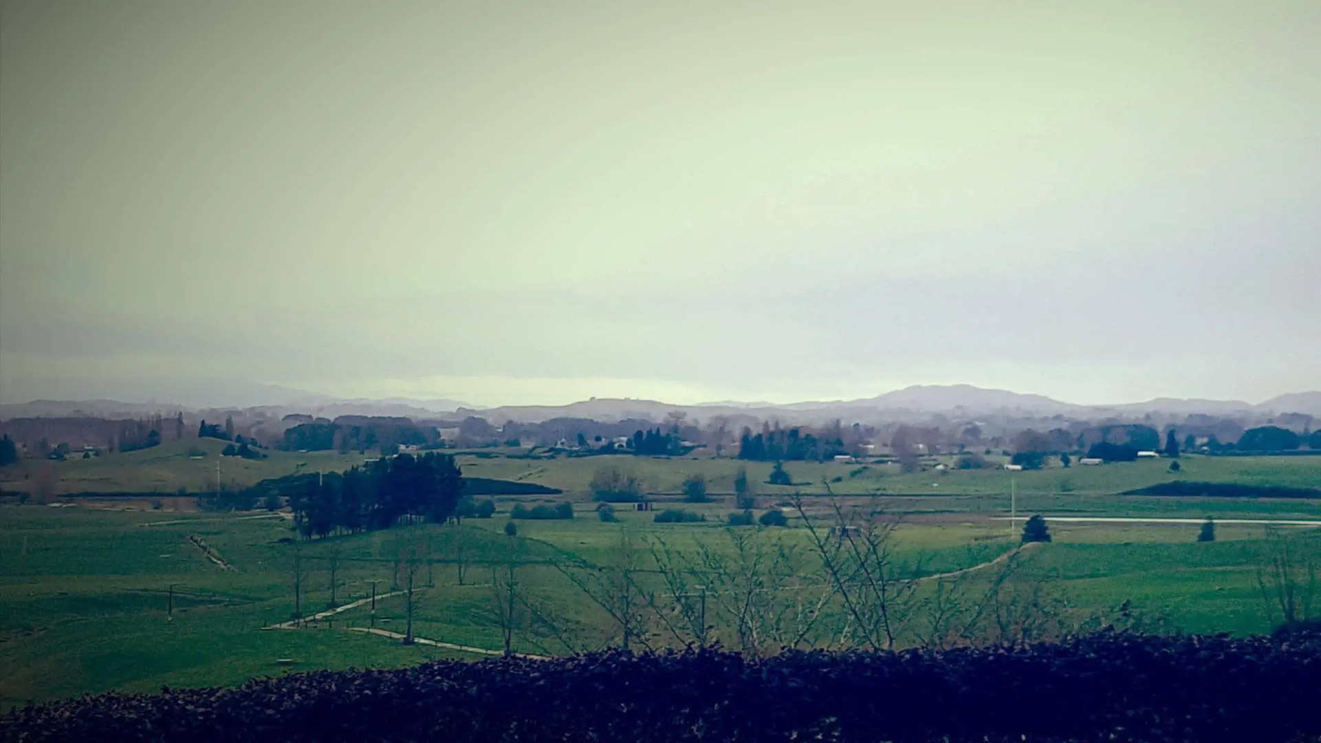 Waitomo Orchard Estate B&B