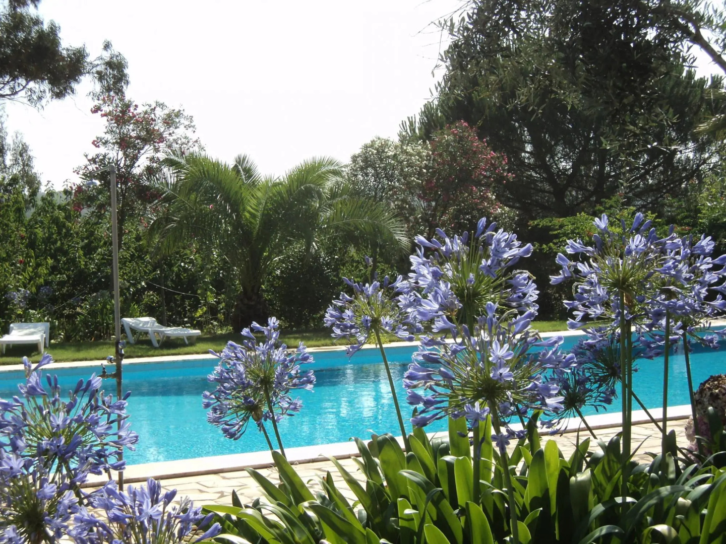 Quinta Retreat With Pool and Olive Grove