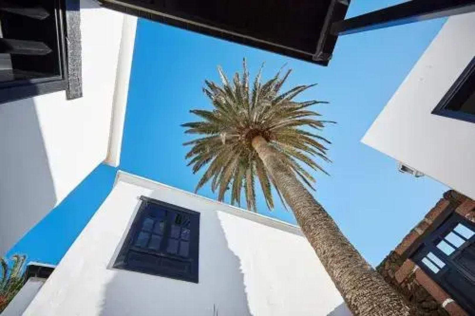 Casita Palmera