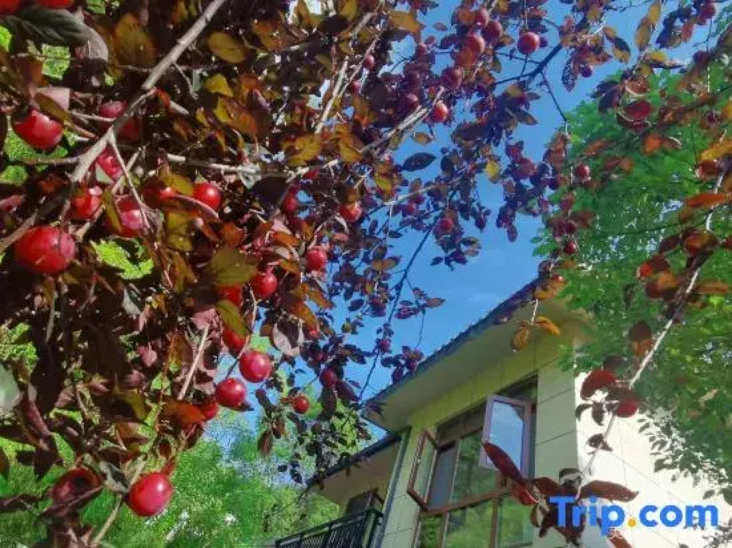 Wentangzhen Jundi Life Boutique Inn