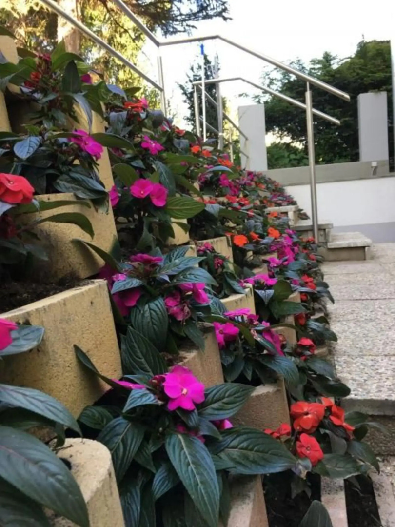 Ajo Vienna Apartements & Residences