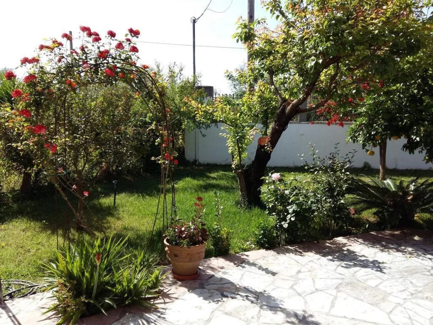 The Green Villa