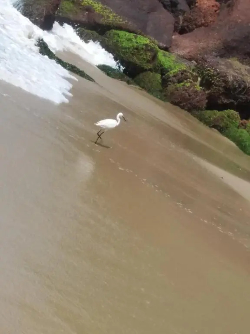 Raj Palace Home Stay