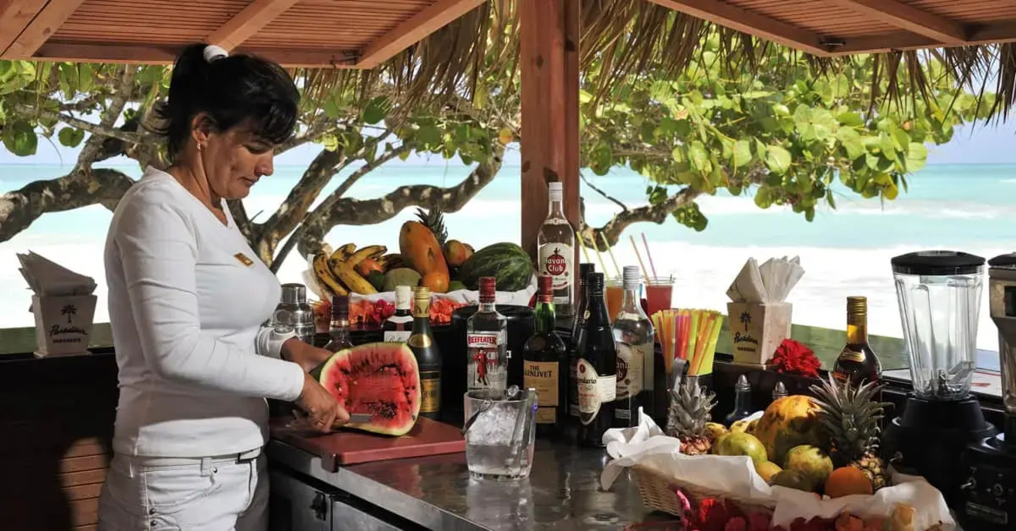 Paradisus Varadero Resort - Spa