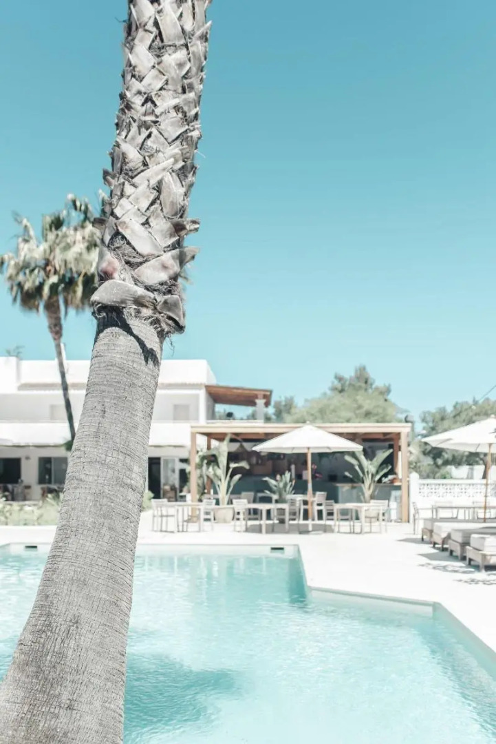 Hotel Boutique & Spa Las Mimosas Ibiza