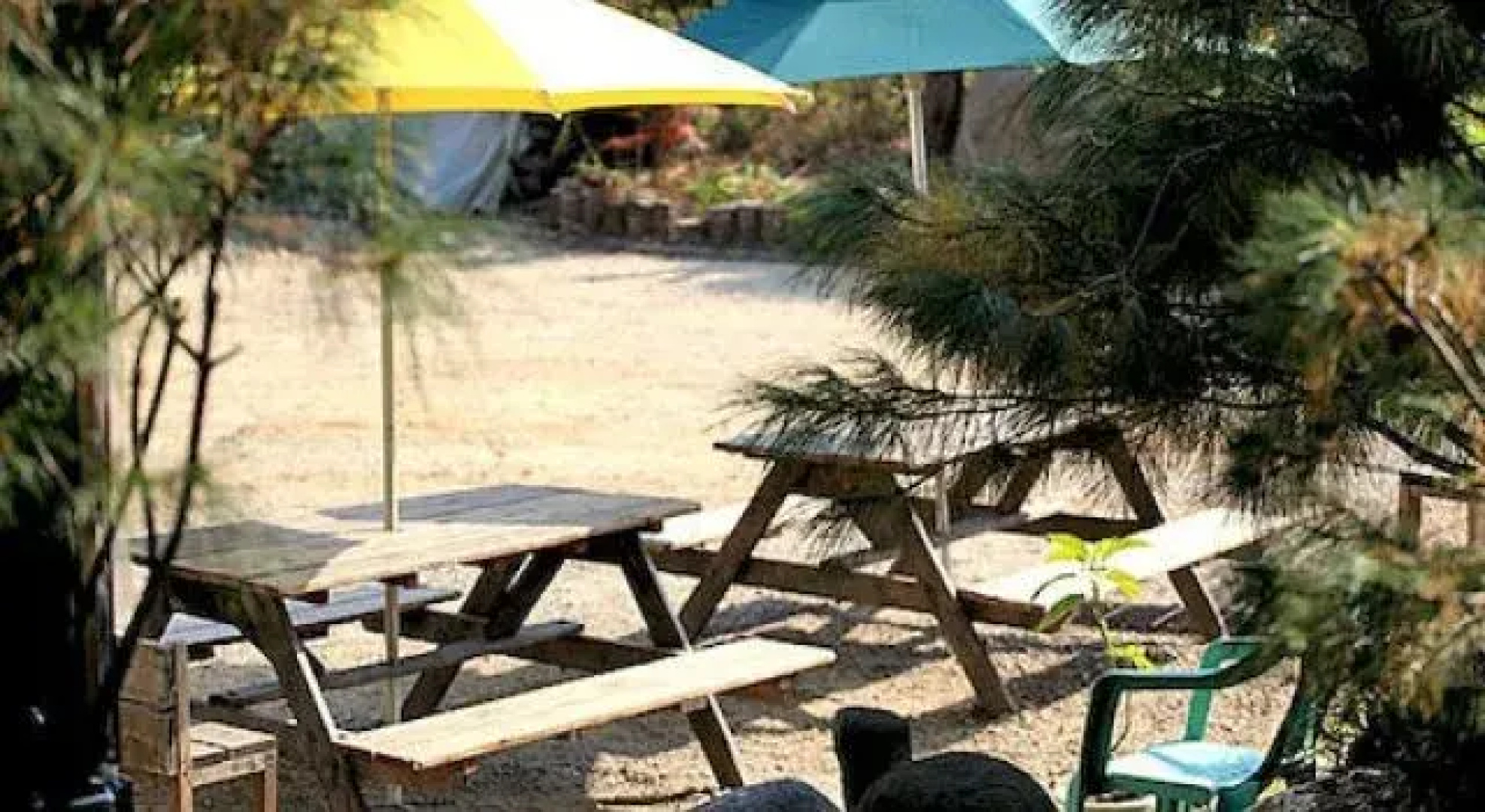 Marina Pension
