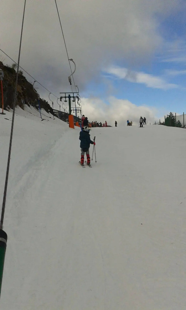 Apartamentos Turísticos Altuzarra