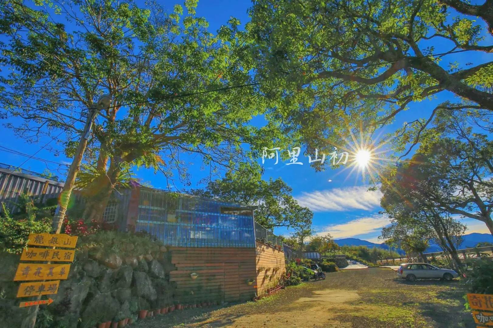 Seeking - Alishan Sunrise