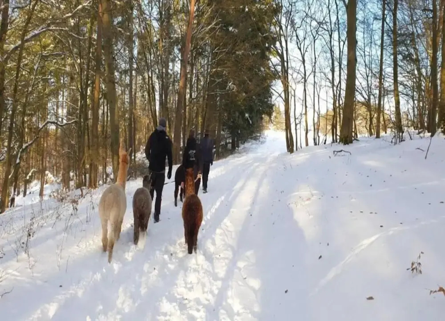 Ferienhaus in Hessen mit Grossem Garten