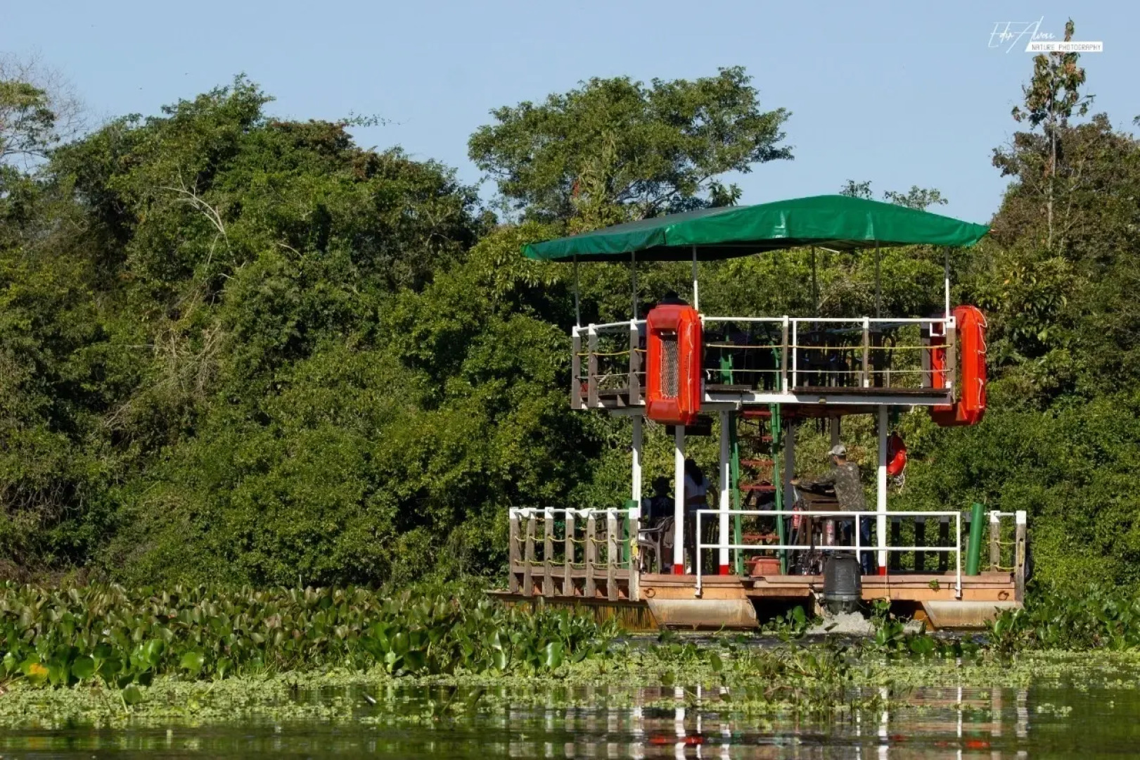 Fazenda San Francisco