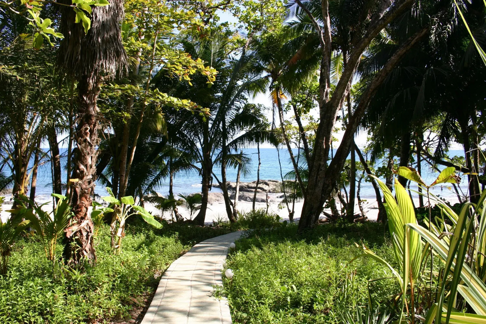 Ylang Ylang Beach Resort