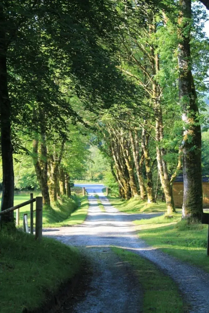 The Braes Guest House