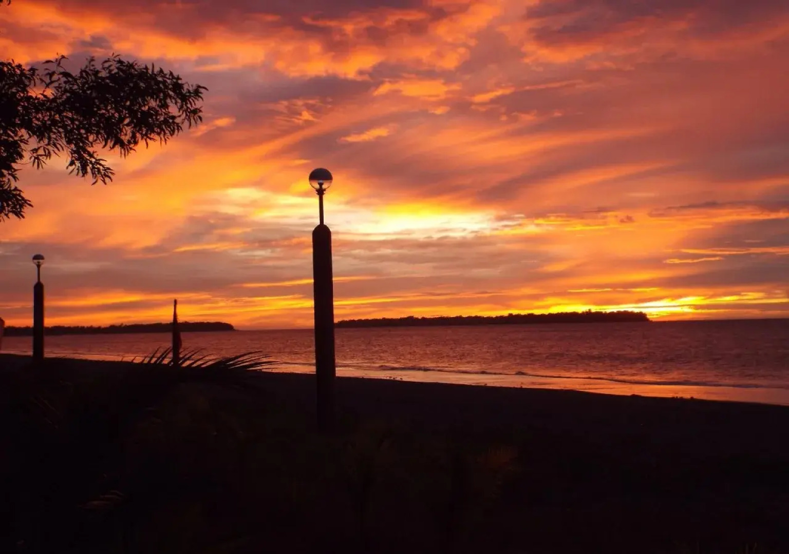 Gustav's Place Silver Beach Dive Resort