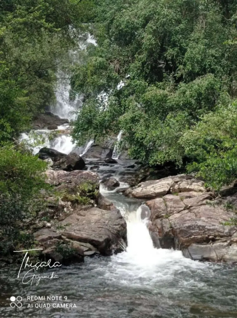 Sinharaja Serenity Retreat