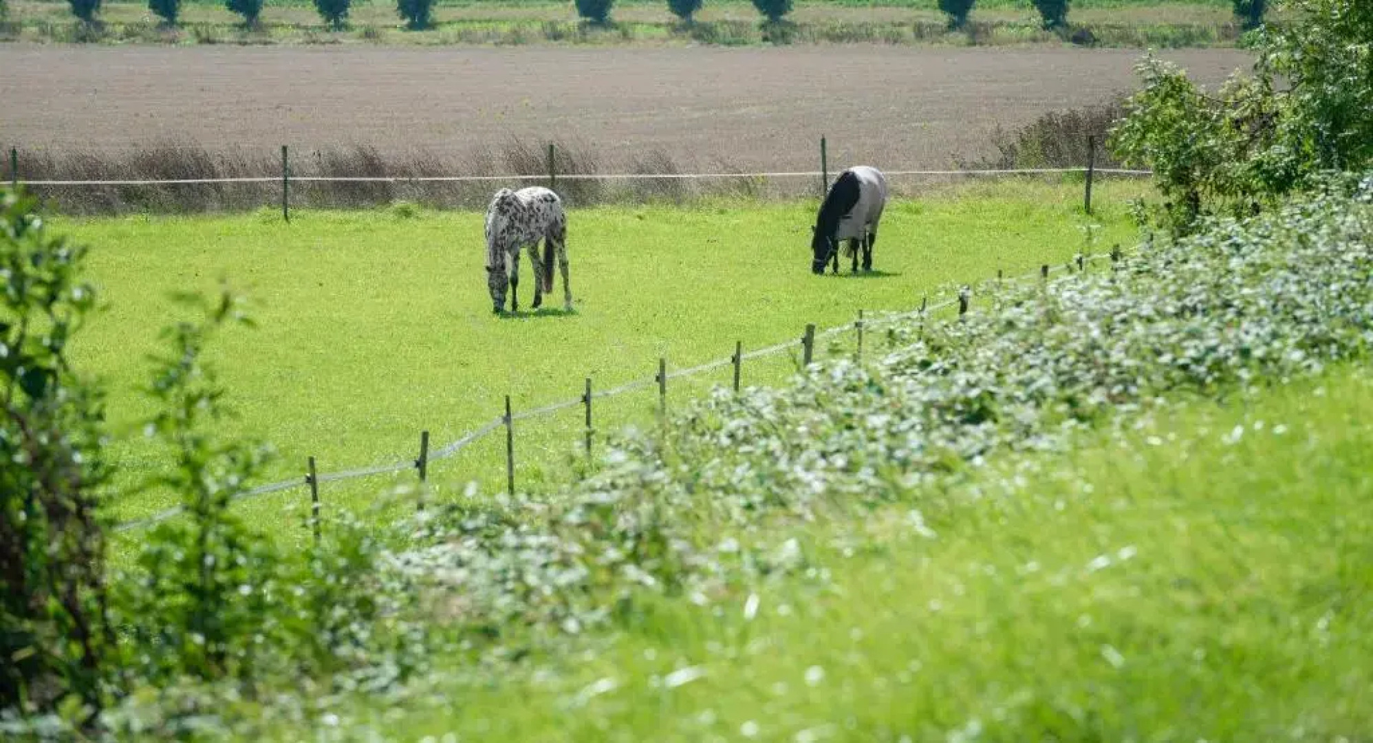 Chalet Stal Veersedam