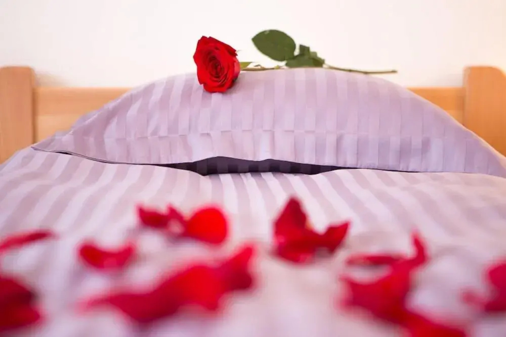 Apartments Villa Venera