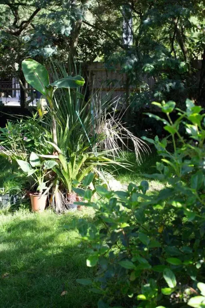 Pyla: Feel-Good Family Home, 2 Min Walk From Beach