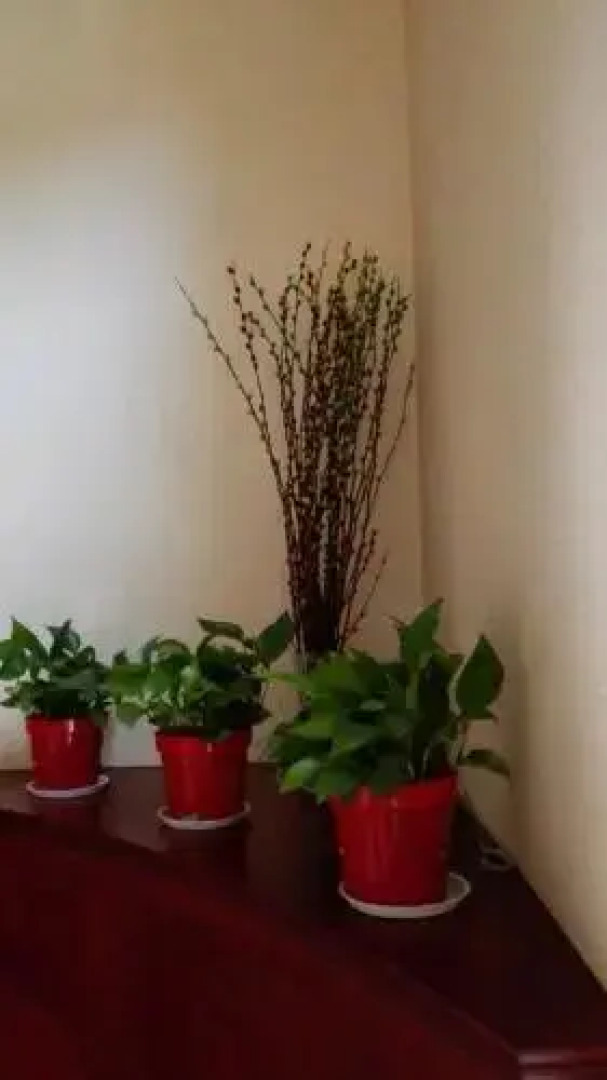 Zhujiajian Wushi Yuzhuang