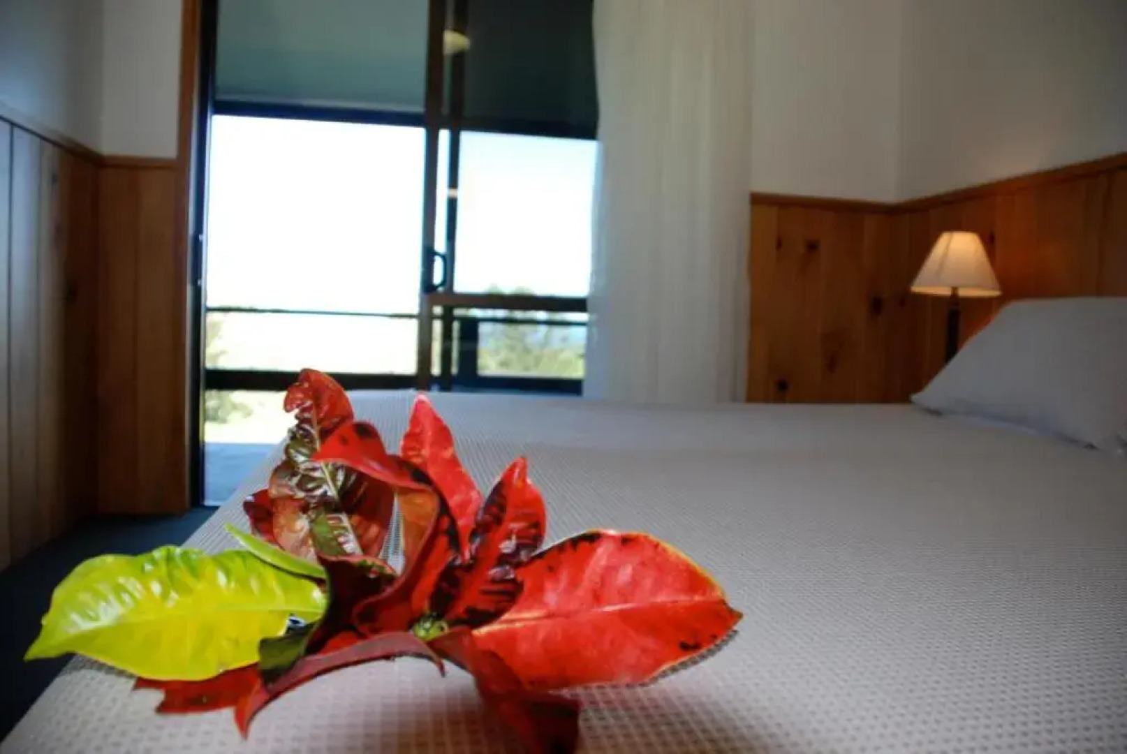 Coast Norfolk Island