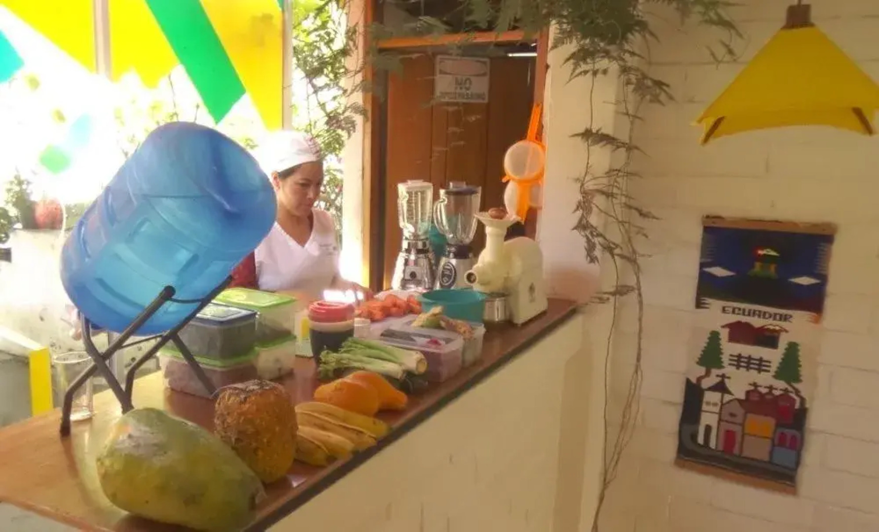 Hostal Plantas  Y Blanco