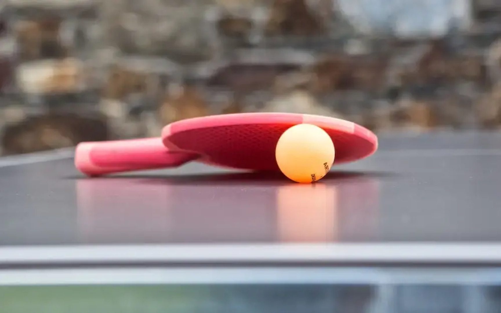 Pazo da Riva - Casa del Guardes