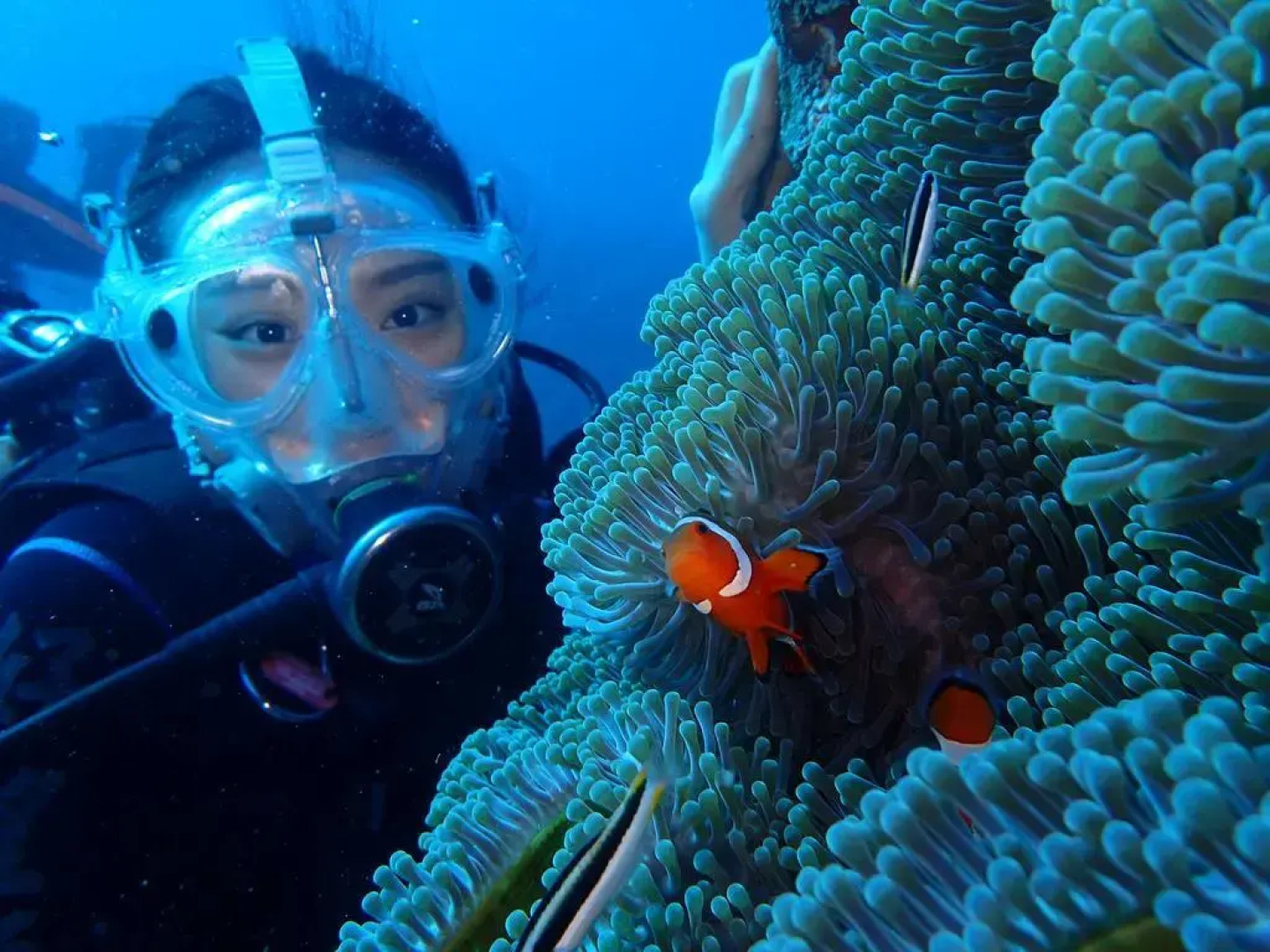 Good Viewing Spot B&B