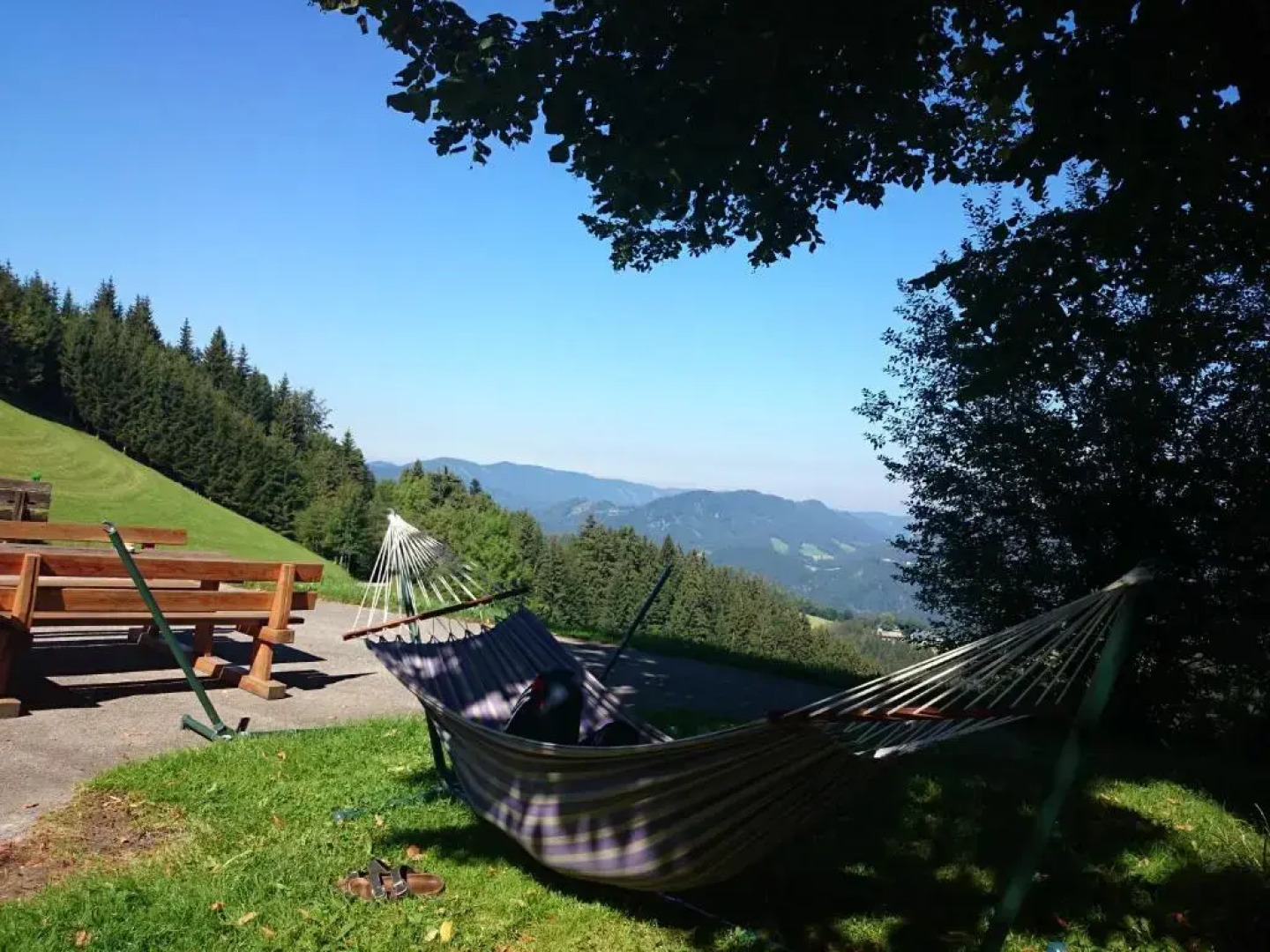 BIO-Bauernhof Kurzeck