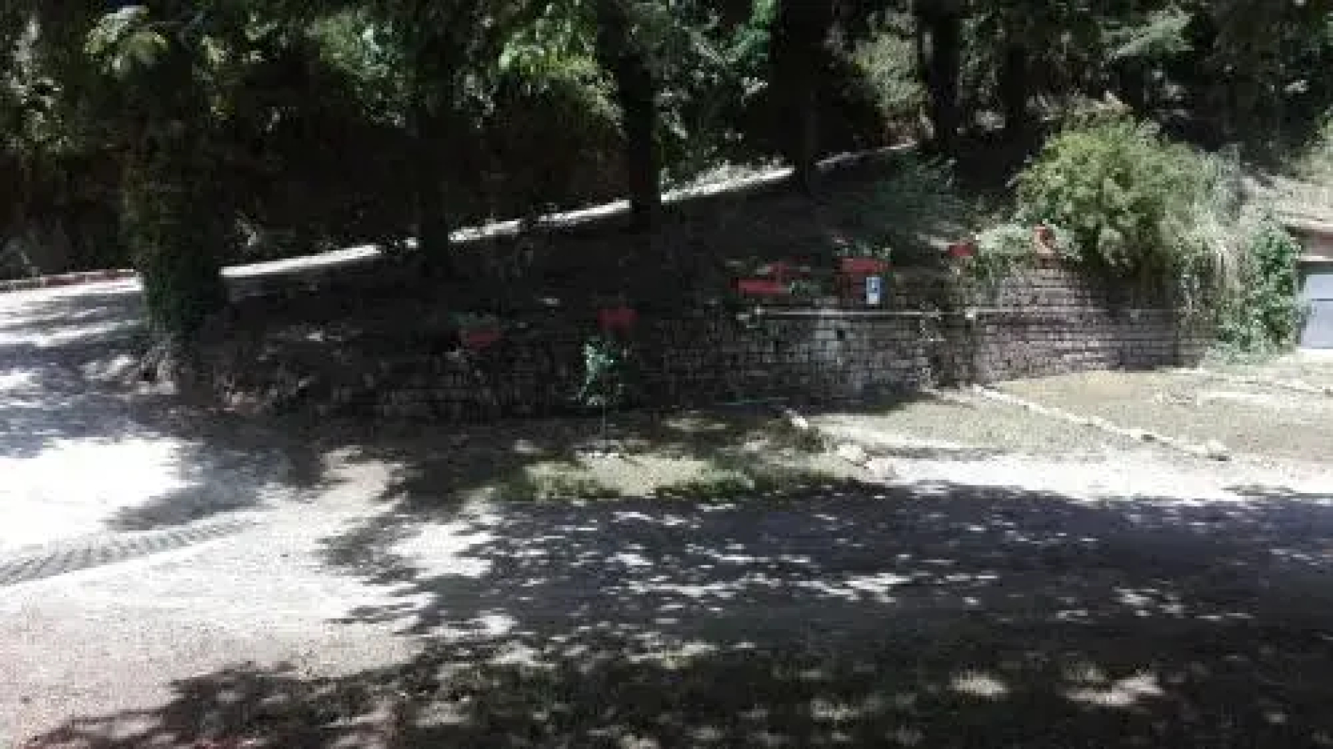 La Vecchia Mola