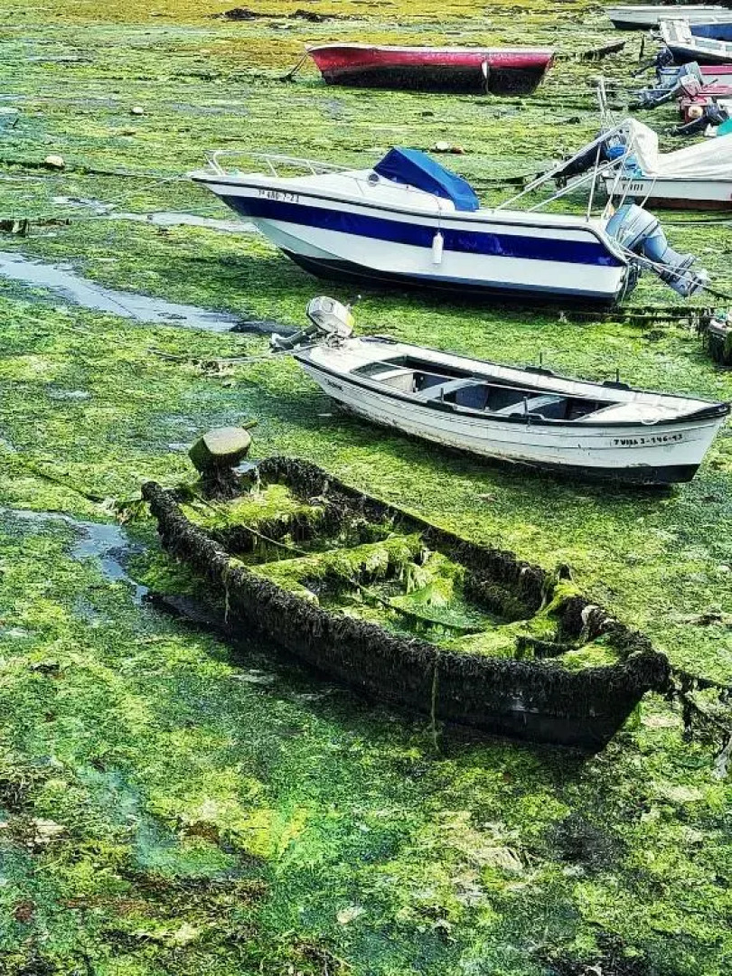 Vistas a la Ría de Arousa