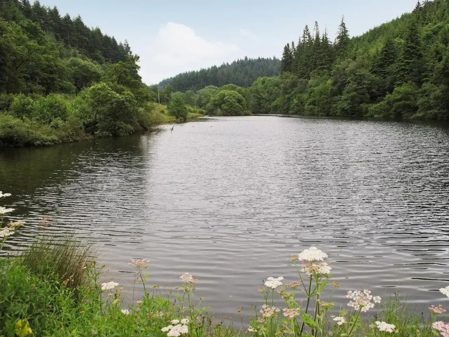 Bickley School Annexe